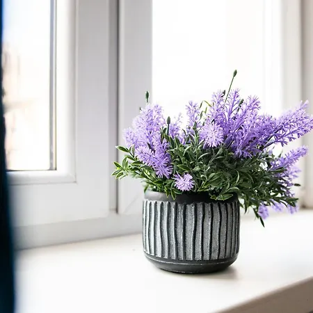 Апартаменты Gdanska 44