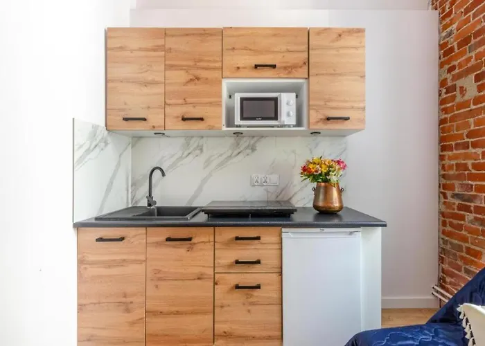 Gdanska 44 公寓 罗兹